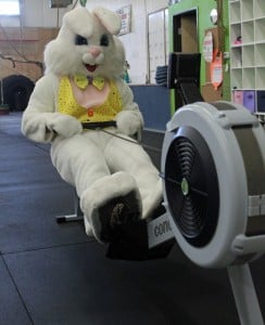 Easter-Bunny-Row
